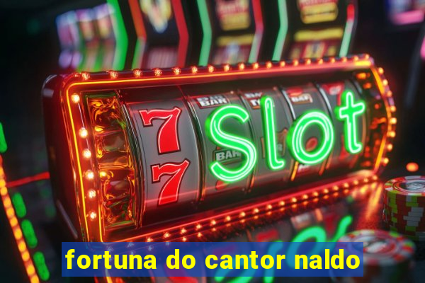 fortuna do cantor naldo